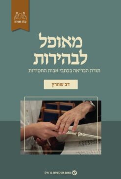 מאופל לבהירות - תורת הבריאה בכתבי אבות החסידות / דב שוורץ