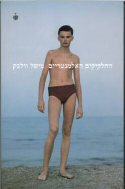 החלקיקים האלמנטריים / מישל וולבק