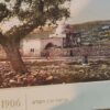 מראות ארץ הקודש 1906 / יואל אמיר