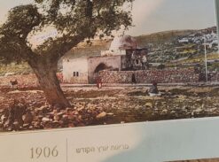 מראות ארץ הקודש 1906 / יואל אמיר