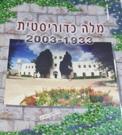 מלה כדוריסטית 1933-2003 חלק א'- כדורי עלי גבעה, חלק ב'- שבעים לכדורי 1984-2003 / אליעזר דומקה