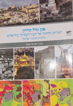 אגן נחל קדרון - המרחב החזותי של העיר העתיקה בירושלים - מדיניות שימור ופיתוח / ישראל קמחי