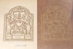 האוצר של הסבתא - דער באבעס אוצר / מרים אולינובר