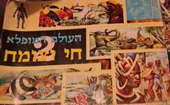 העולם המופלא חי וצומח 2 - אלבום קלפים - מצב טוב - לא מלא ! / נירם בע"מ