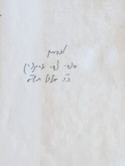 רחובות הנהר - ספר האיליות והכח / אורי צבי גרינברג