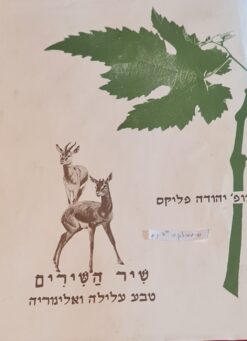 שיר השירים - טבע, עלילה ואליגוריה / יהודה פליקס - מהדורה בפורמט מהודר