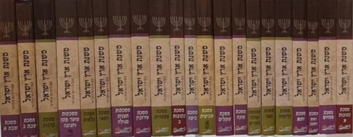 משנת ארץ ישראל ספראי זאב