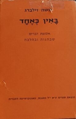 באין כאחד / זילברג משה