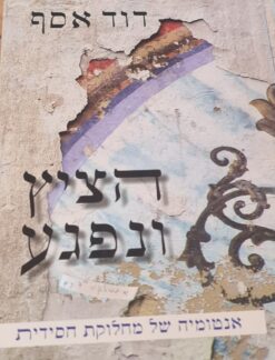 הציץ ונפגע - אנטומיה של מחלוקת חסידית דוד אסף