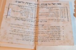 אגודת תורה וישיבת תל אביב בבית הכנסת הגדול בתל אביב דין וחשבון שנתי מאלול תרפ"ז עד אלול תרפ"ח וכן דוח"ות תרפ"ט - תרצ"ה / אלחנן מרדכי שינזון פנחס שיפמאן