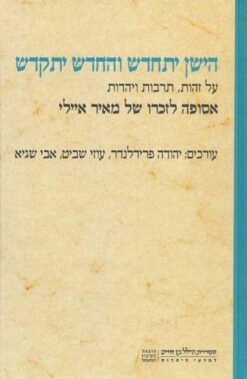 הישן יתחדש והחדש יתקדש : הארות למשמעות המקדש / יצחק חיות-מן