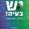 ייש בעיה! חידות למחשבה / רומה פלק