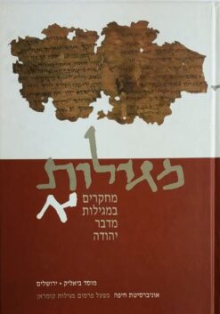 מגילות א מחקרים במגילות מדבר יהודה / משה בר-אשר ודבורה דימנט (עורכים)