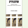 אחיזת עיניים - אמנות התעתוע באירופה של המאה השבע עשרה / אסנת רבינוביץ