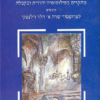 מנחה לשרה - מחקרים בפילוסופיה יהודית ובקבלה מוגשים לפרופסור שרה א' הלר וילנסקי / בעריכת: שלום רוזנברג משה אידל דבורה דימנט