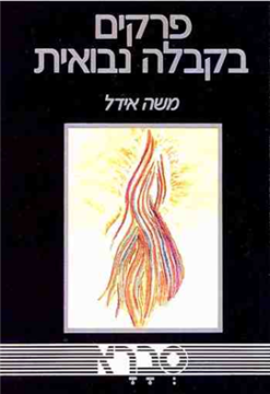 פרקים בקבלה נבואית / משה אידל