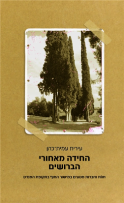 החידה מאחורי הברושים / עירית עמית-כהן