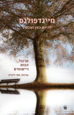 מיינדפולנס להיות כאן ועכשיו - תרגול, הגות ויישומים / מתי ליבליך