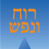 רוח ונפש : גשרים ליהדות פנימית / יוסף שכטר