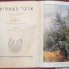 אוצר הצמחים / ברוך צ'יזיק