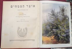 אוצר הצמחים / ברוך צ'יזיק