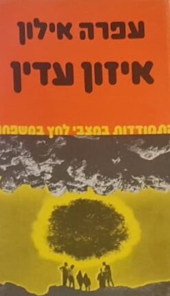 איזון עדין