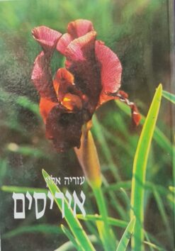 איריסים / עזריה אלון