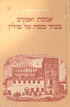 אמנות ואמנים בבתי כנסת של פולין / דוידוביץ דוד