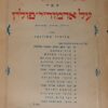 באר החסידות