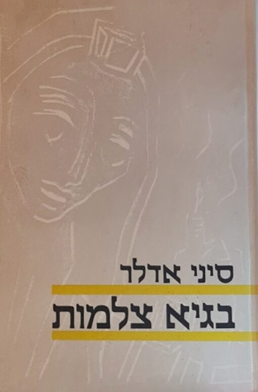 בגיא צלמות : שנת חיים של נער במחנות ריכוז / סיני אדלר