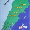 בחירה מוטעית או ברית קטלנית / נביה אבו ראפע