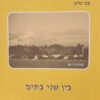 בין שני בתים / צבי גליני