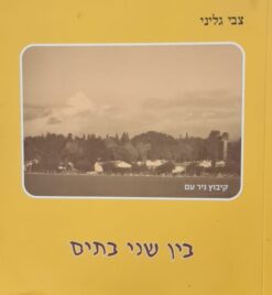 בין שני בתים / צבי גליני