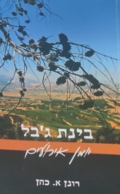 בינת ג'בל