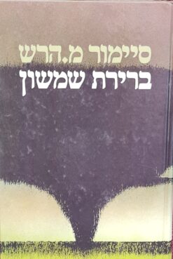 ברירת שמשון