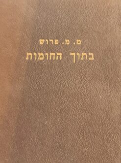 בתוך החומות - קורות ובקורת / מנחם מנדיל פרוש