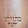 בתורתו יהגה