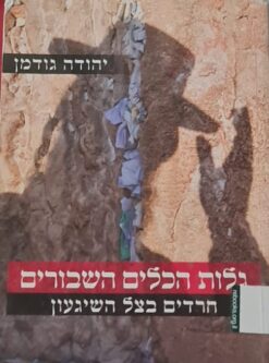 גלות הכלים השבורים - חרדים בצל השיגעון / יהודה גודמן