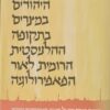 היהודים במצרים בתקופה ההלניסטית הרומית לאור הפאפירולוגיה / אביגדור צ'ריקובר