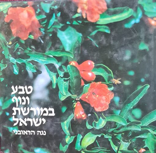 טבע ונוף במורשת ישראל / נגה הראובני