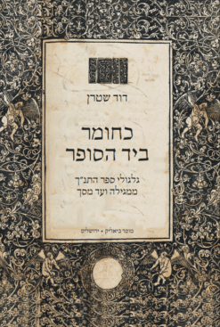 כחומר ביד הסופר - גלגולי ספר התנ"ך ממגילה ועד מסך / דוד שטרן