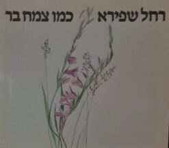 כמו צמח בר / רחל שפירא