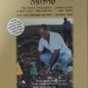כנורות בבל