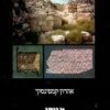 מגידו: עיר מדינה כנענית ומרכז ממלכתי ישראלי