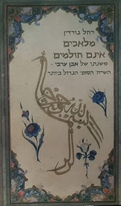 מלאכים אינם חולמים