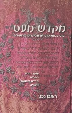 מקדש מעט - בתי כנסת מוכרים ונסתרים בירושלים / ראובן גפני