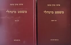 משפט מינהלי