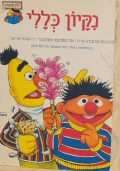 נקיון כללי