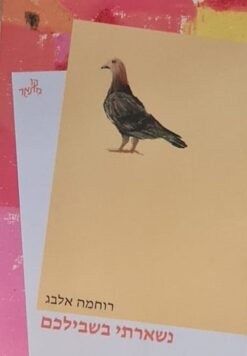 נשארתי בשבילכם