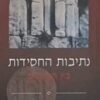 נתיבות החסידות: בין המצרים / רן שריד